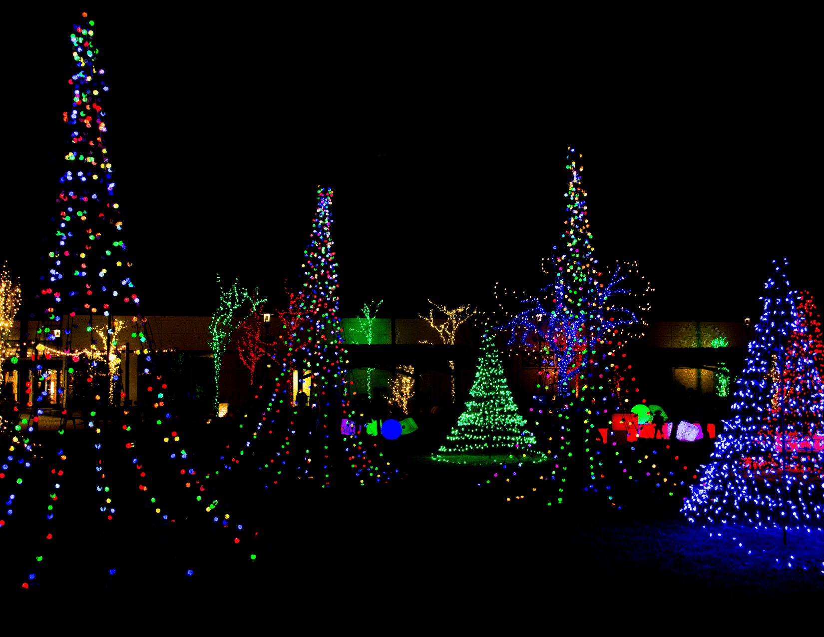 Christmas Lights (KC Driving Tour Included)